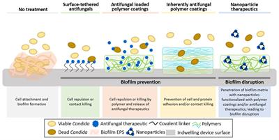 Advances in Biomaterials for the Prevention and Disruption of Candida Biofilms